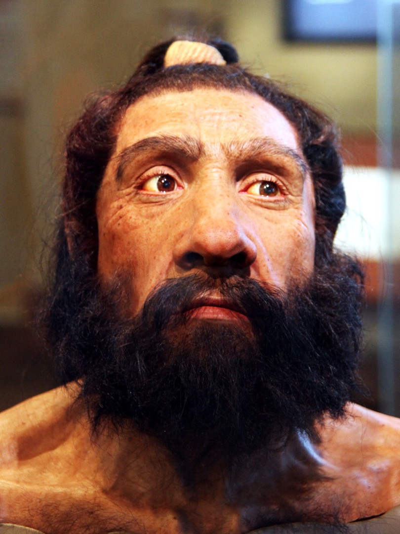 Homo neanderthalensis adult male head model Smithsonian Museum of Natural History 2012 05 17