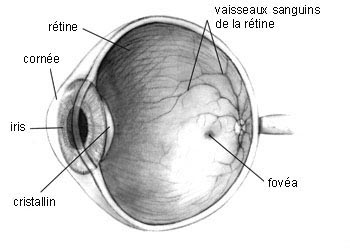 photo 01