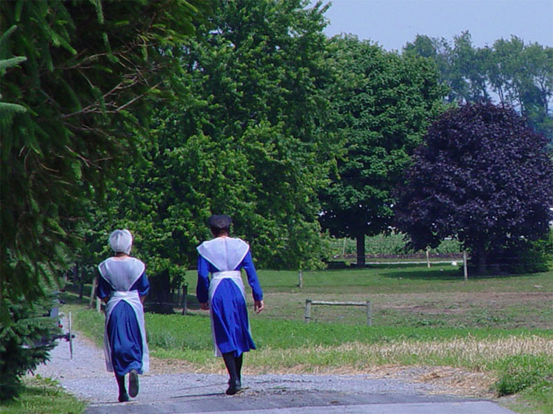 Amish1