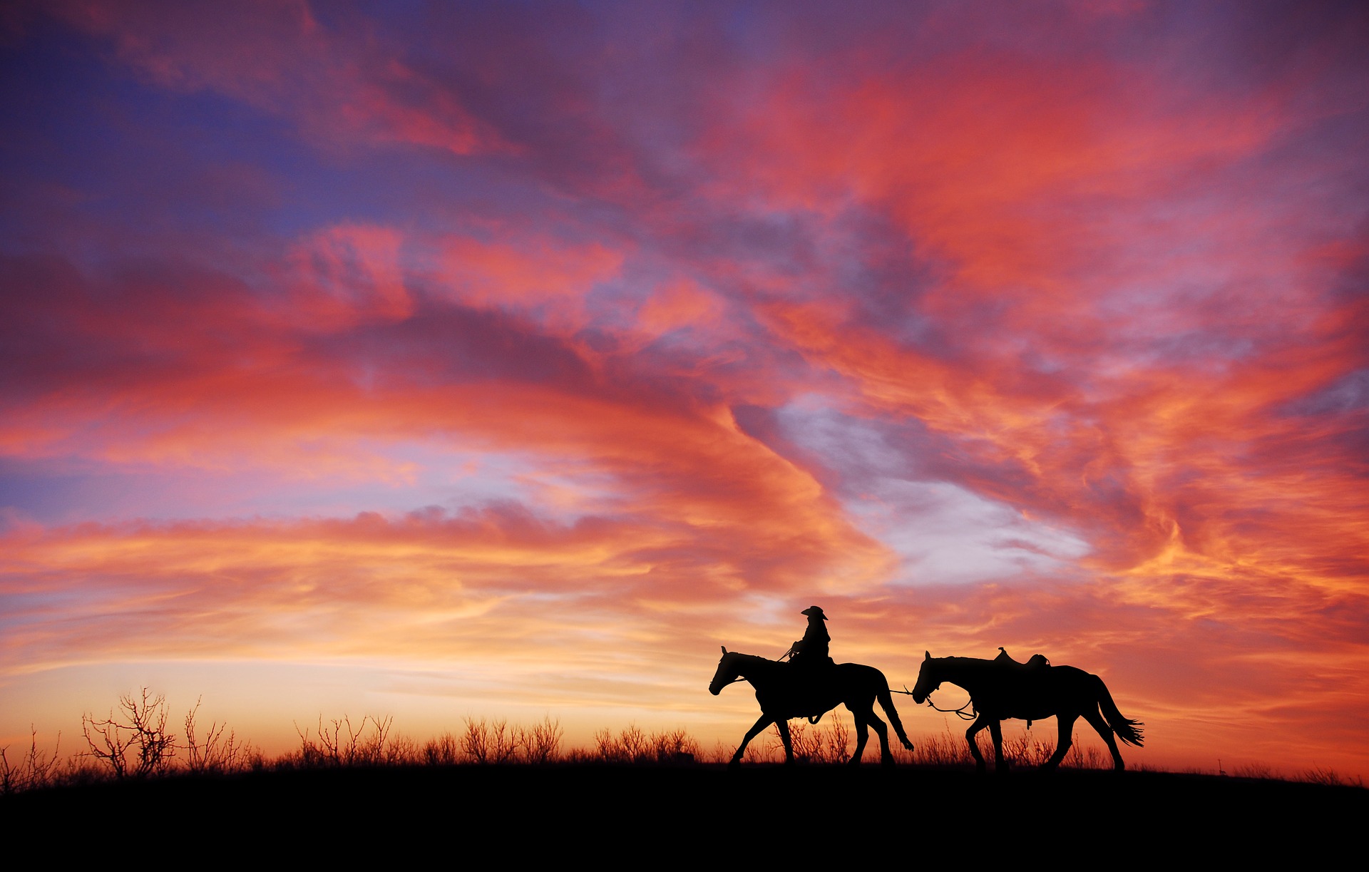 cowboy cheval
