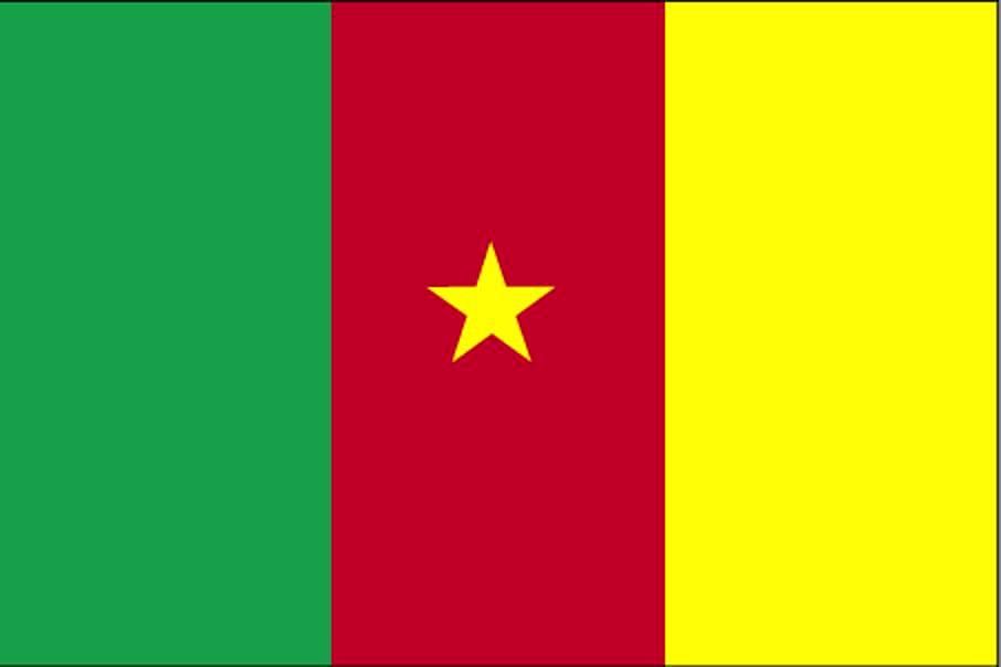drapeau cameroun