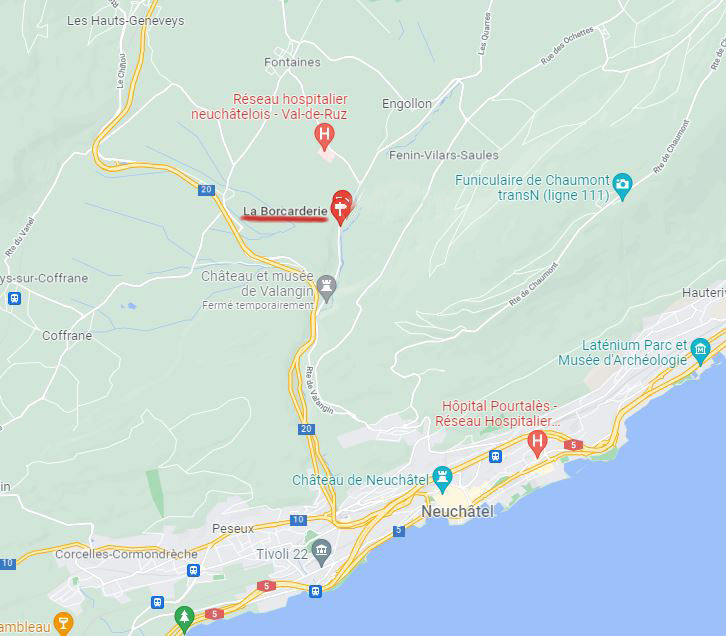 Carte