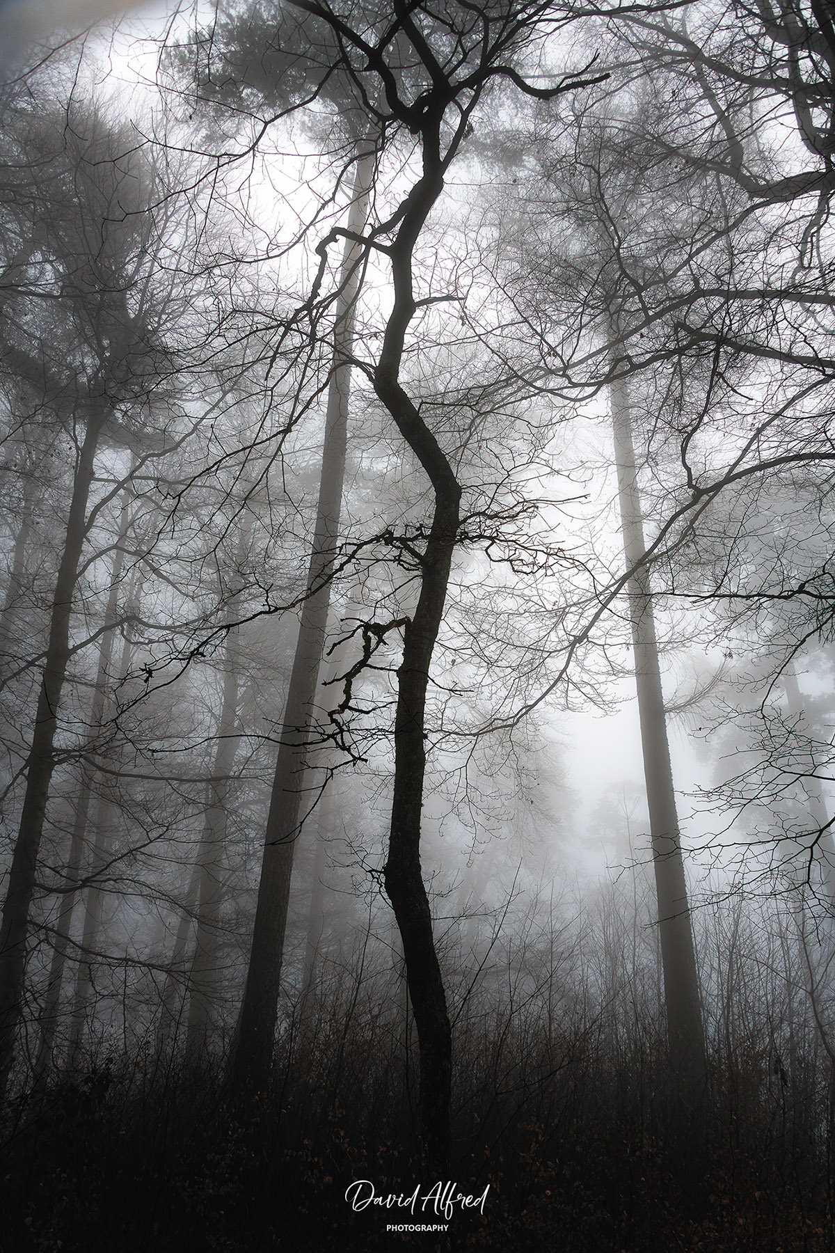 03 photo