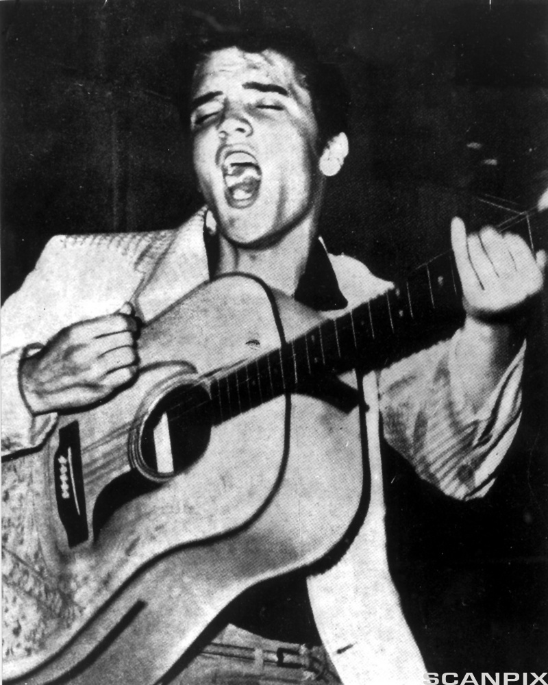 elvis