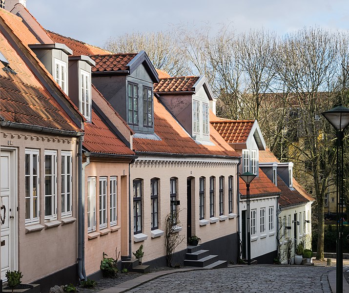 01 ruelle Odense